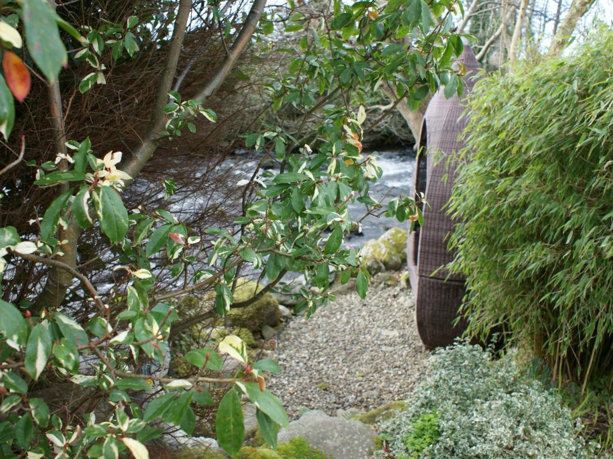 Talybont Bed And Breakfast Barmouth Eksteriør billede